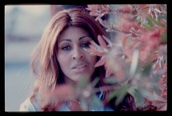 Tina Turner. In June 1975. Just outside a recording studio in Inglewood. LA.